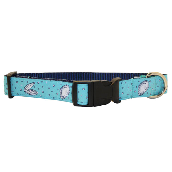 Caribbean Blue Gulf Oyster Dog Collar