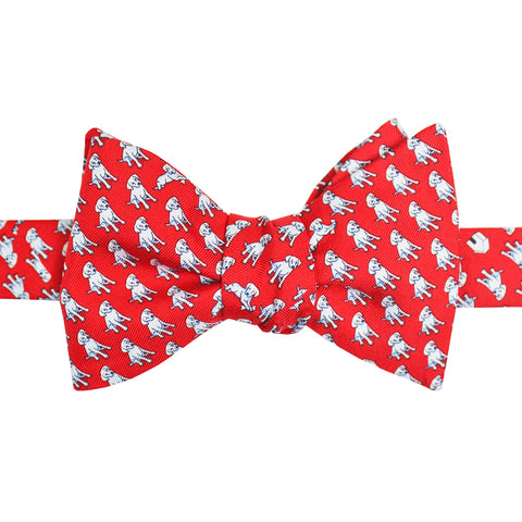 Cayenne Red Boys' In The Dog House Bow Tie