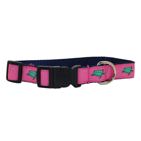 Panama Pink Sea Turtle Dog Collar