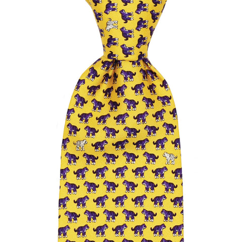 Boys’ Tiegers Tie